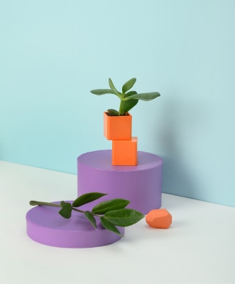 aboutpage content img 4.jpg