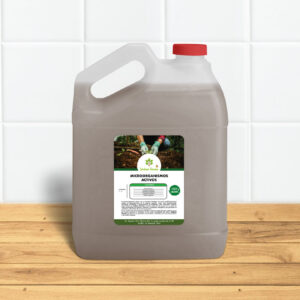 Microorganismos Activos