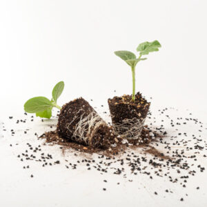 sustrato premium principal